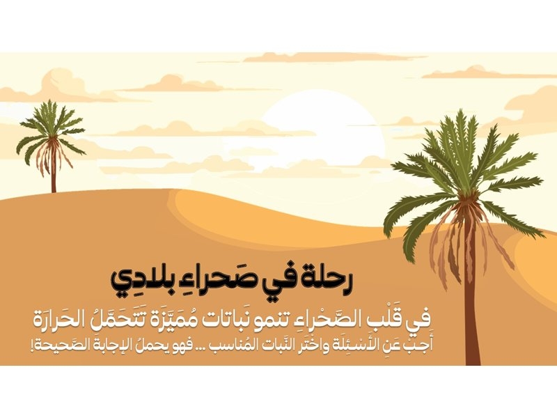 رحلة في صَحراءِ بلادِي