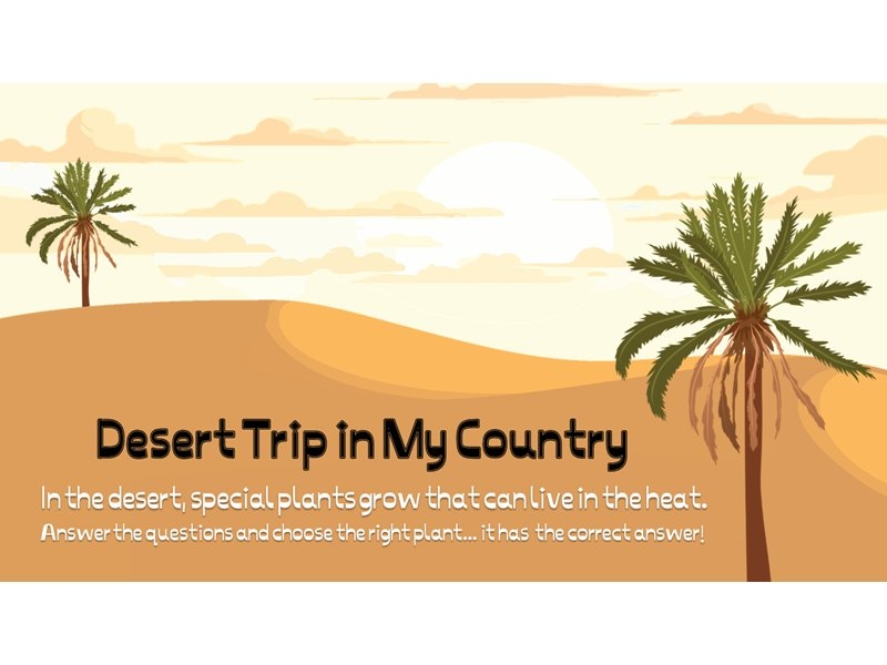 Desert Trip in My Country